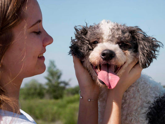 9 Razones para adoptar una mascota 🐶💕