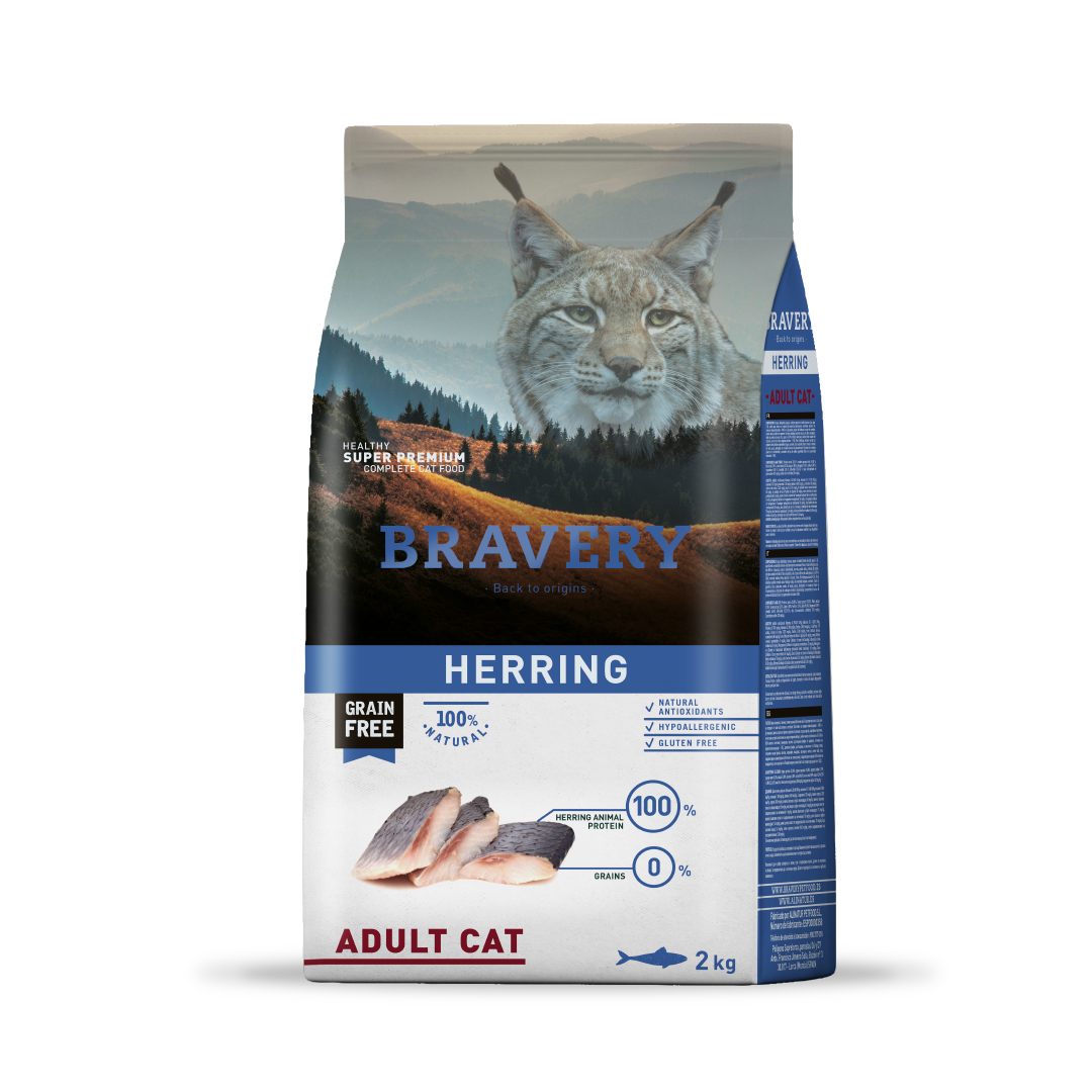 BRAVERY CAT ADULTO