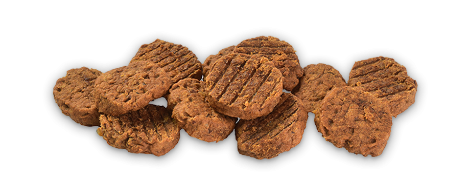 BRIT MEATY JERKY PUPPY PAVO Y CALABAZA 80 GR