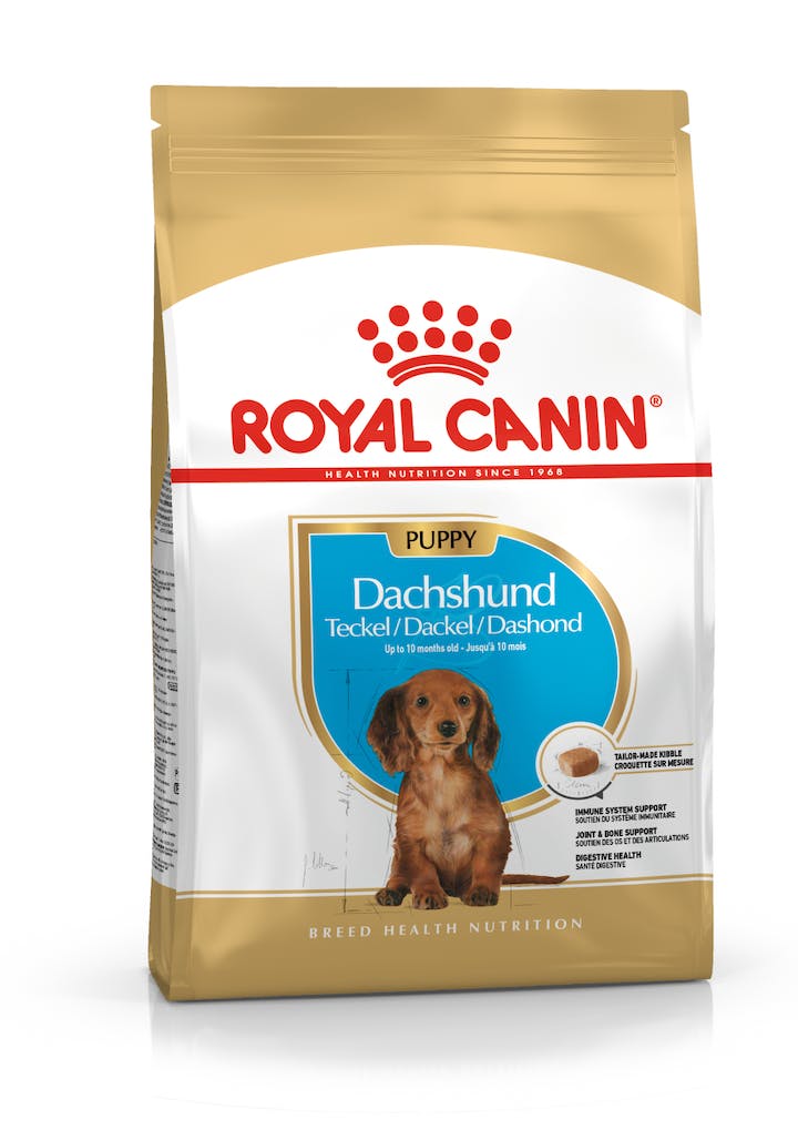 ROYAL CANIN DACHSHOUND JR 2.5 KG