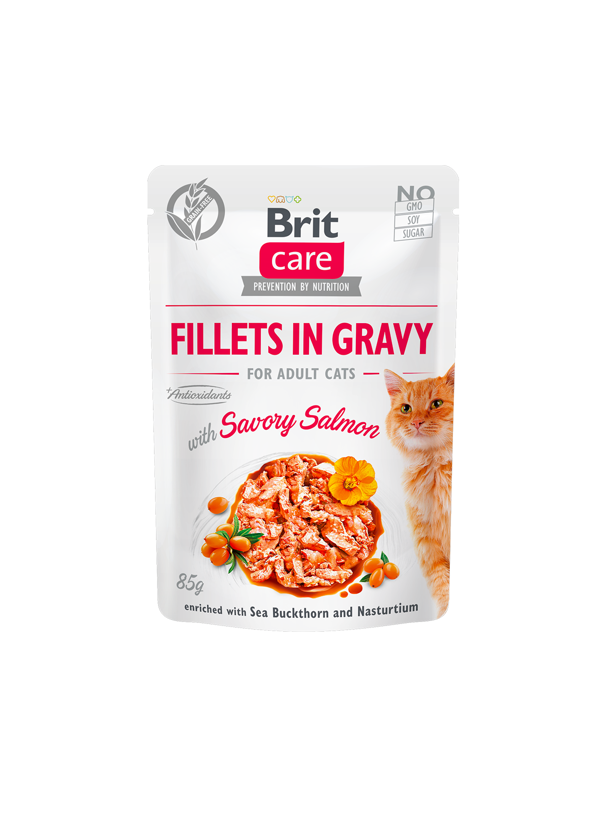 BRIT CARE CAT FILLETS IN GRAVY SALMON