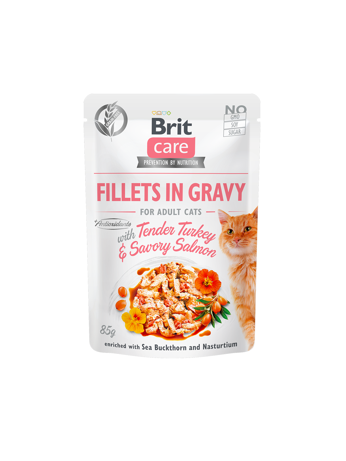 BRIT CARE CAT FILLETS IN GRAVY PAVO Y SALMON