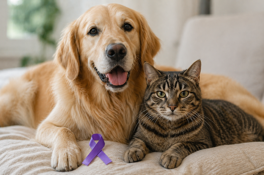 ¿Sabías que nuestras mascotas también pueden desarrollar cáncer?