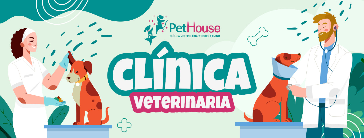 Pet House Clínica Veterinaria y Hotel Canino & Felino Pet House Chile