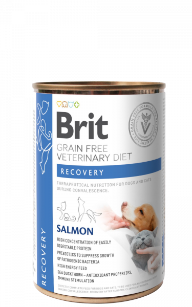 BRIT VETERINARY DIET DOG+CAT RECOVERY LATA 400 GR